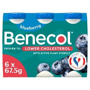 Benecol Yogurt Drink Blueberry 6x67.5g