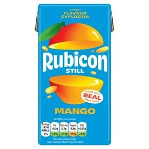 Rubicon Mango Fruit Juice Drink 288ml
