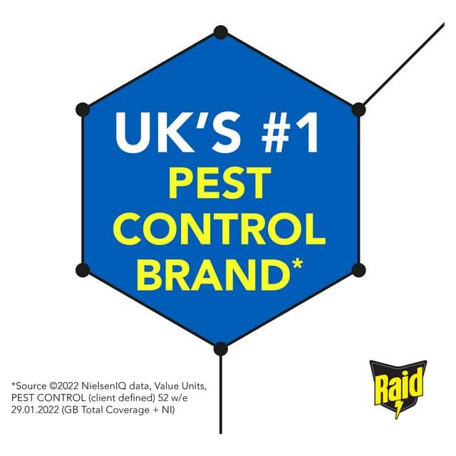 Raid Ant & Insect Killer Powder 250g - gallery image 2