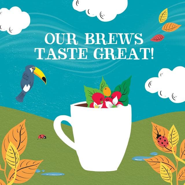 Clipper Fairtrade Organic Latin American Instant Coffee 100g - gallery image 4