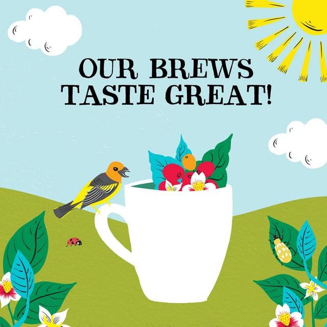 Clipper Fairtrade Organic Decaf Latin American Instant Coffee 100g - gallery image 5
