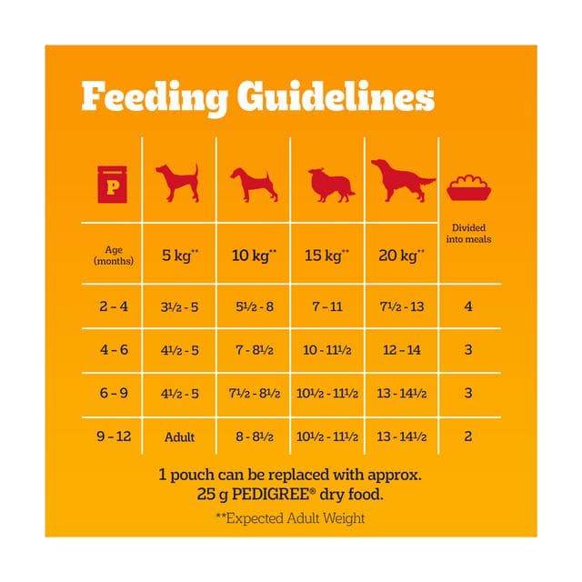 Pedigree Puppy Wet Dog Food Pouches Mixed In Jelly 12x100g - gallery image 4