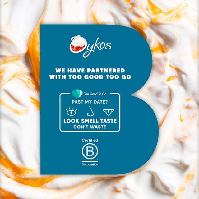 Oykos Blueberry Luxury greek Style Yogurt 4x110g - gallery image 4
