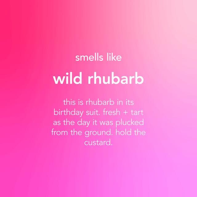 Method Anti-Bac Multi Surface Cleaner Spray, Wild Rhubarb, 828ml - gallery image 3