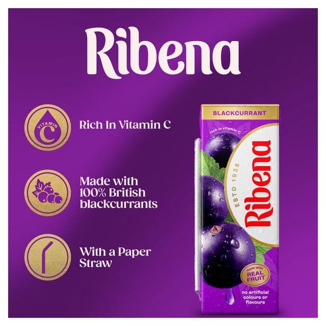 Ribena Blackcurrant Juice Drink Cartons 6x250ml - gallery image 2