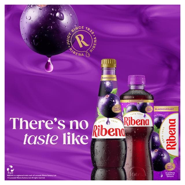Ribena Blackcurrant Juice Drink Cartons 6x250ml - gallery image 5