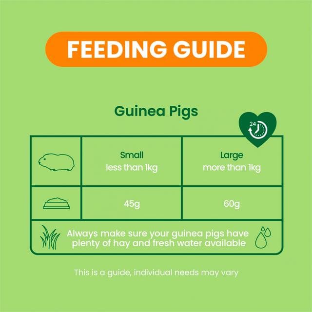 Burgess Excel 1.5kg Adult Guinea Pig Food Mint Nuggets - gallery image 6