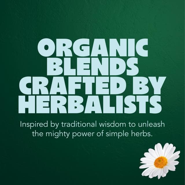 Pukka Organic Relax Tea With Chamomile Home Compostable Herbal Tea Bags x20 - gallery image 5