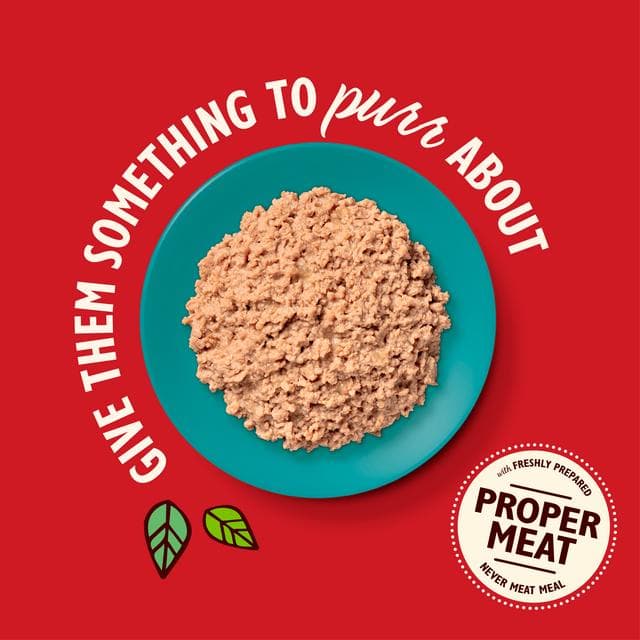 Lily's Kitchen Organic Fish Pate Cat Food 85g - gallery image 5