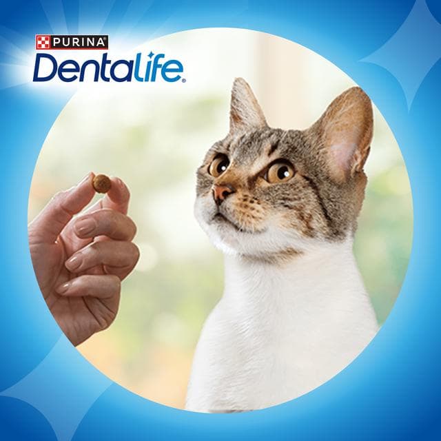 Dentalife Dental Salmon Cat Treats 40g - gallery image 6