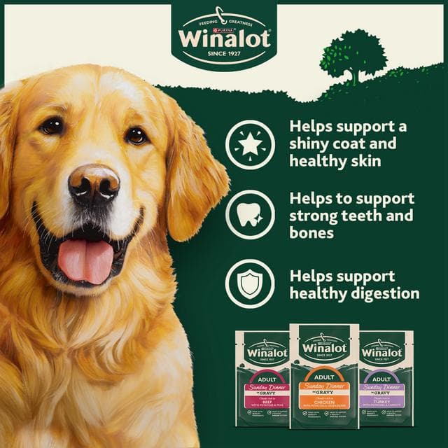 Winalot Sunday Dinner Mixed in Gravy Wet Dog Food 12 x 100g - gallery image 3