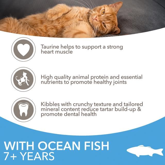 IAMS Vitality Dry Cat Food for Senior Cats with Ocean Fish 800g - gallery image 3