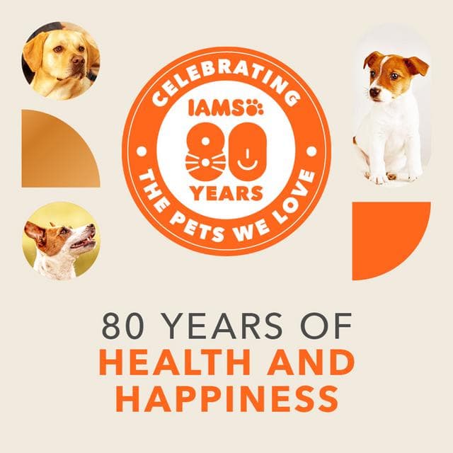IAMS For Vitality Dry Dog Food Small Medium Breed with Lamb 2kg - gallery image 2