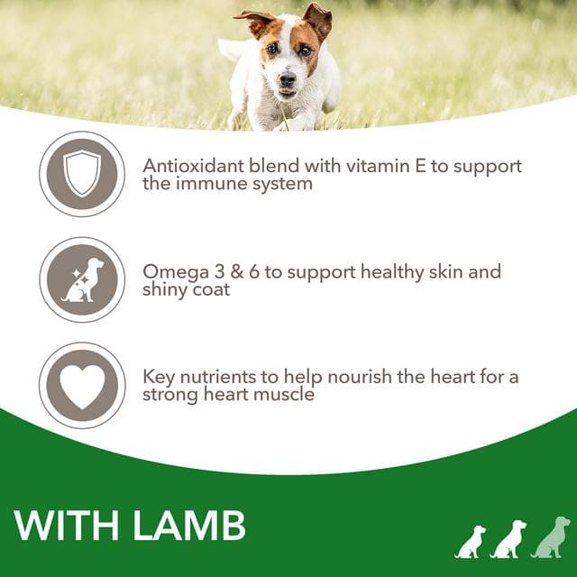 IAMS For Vitality Dry Dog Food Small Medium Breed with Lamb 2kg - gallery image 3