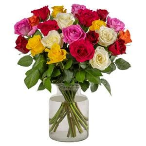 Rainbow Roses