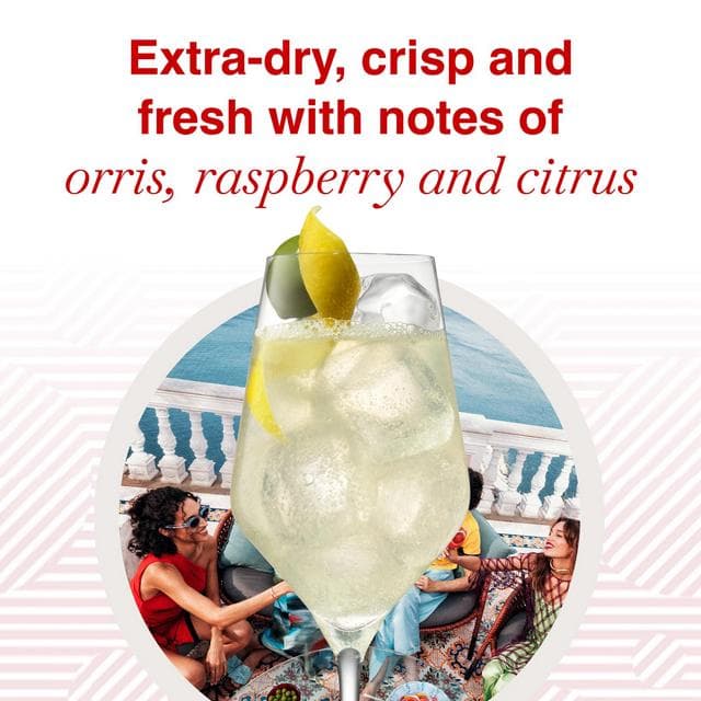Martini Extra Dry Vermouth Aperitivo 75cl - gallery image 2