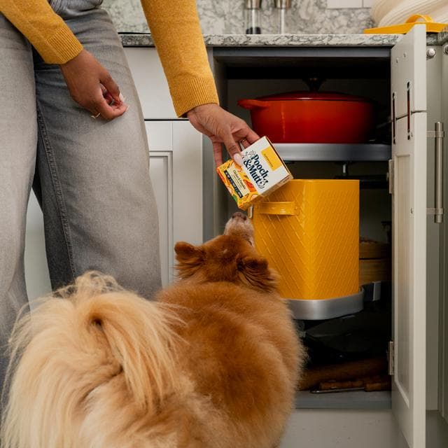 Pooch & Mutt Chicken, Pumpkin & Pea Complete Wet Dog Food 375g - gallery image 6