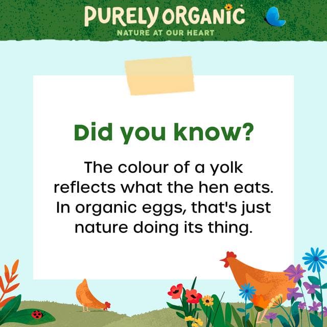 Purely Organic Free Range Eggs x10 540g - gallery image 4