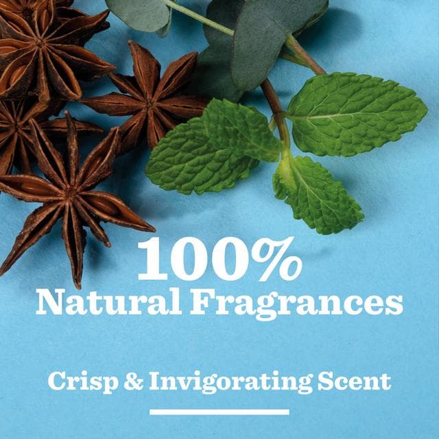 Bulldog Skincare Peppermint & Eucalyptus Natural Deodorant 75ml - gallery image 4