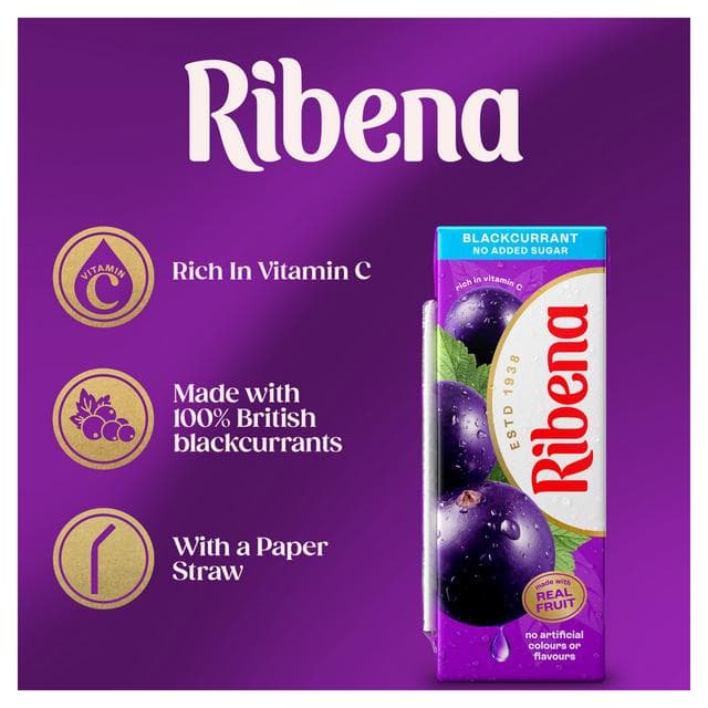 Ribena No Added Sugar Blackcurrant Juice Drink Cartons 6x250ml - gallery image 2