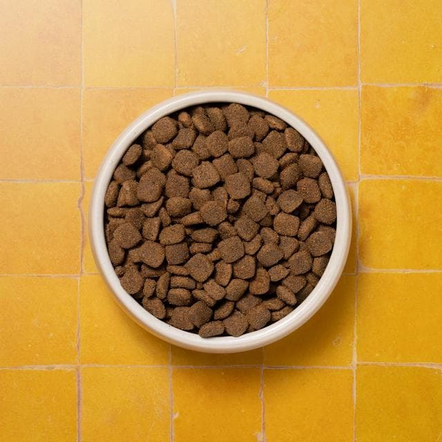 Pooch & Mutt Adult Complete Dry Dog Food 1.5kg - gallery image 2