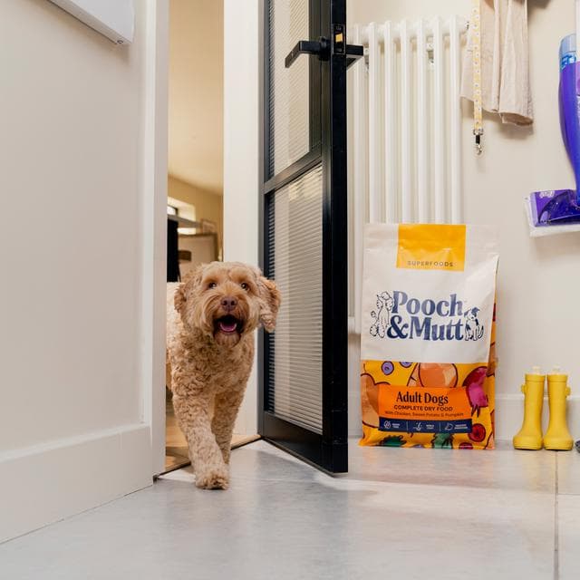 Pooch & Mutt Adult Complete Dry Dog Food 1.5kg - gallery image 6
