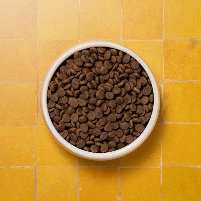 Pooch & Mutt Puppy Complete Dry Food 1.5kg - gallery image 2