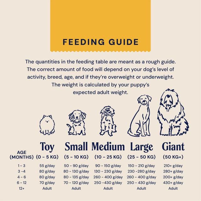 Pooch & Mutt Puppy Complete Dry Food 1.5kg - gallery image 6