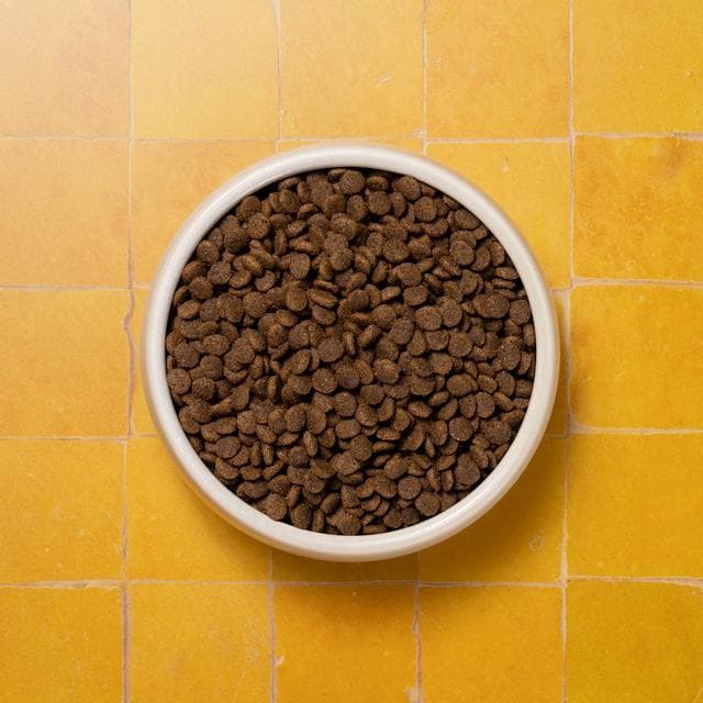 Pooch & Mutt Complete Dry Small Dog Food 1.5kg - gallery image 2