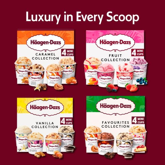 Haagen-Dazs Fruit Collection Mini Frozen Dessert Ice Cream Tub 4x95ml - gallery image 5