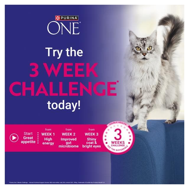 Purina One Mini Fillets Mixed Selection in Gravy Wet Cat Food 40 x 85g - gallery image 4