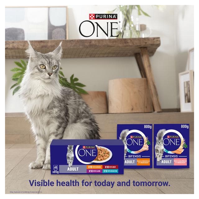 Purina One Mini Fillets Mixed Selection in Gravy Wet Cat Food 40 x 85g - gallery image 5