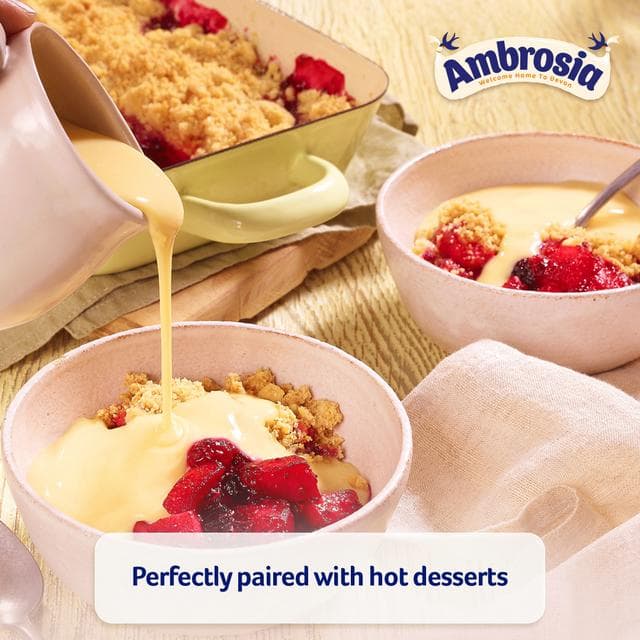 Ambrosia Devon 500g Custard Dessert Carton - gallery image 5