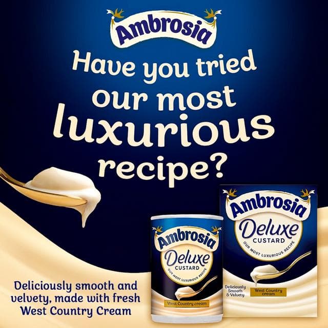 Ambrosia Devon 500g Custard Dessert Carton - gallery image 6