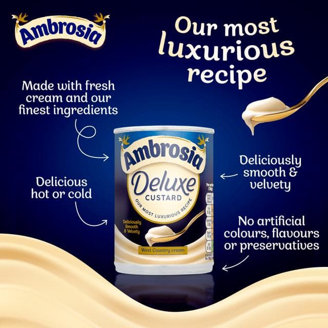 Ambrosia Deluxe 400g Custard Dessert Can - gallery image 4