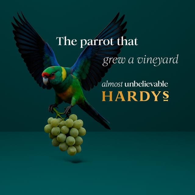 Hardys VR Pinot Grigio White Wine 75cl - gallery image 3