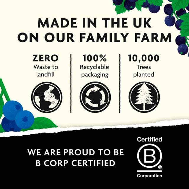 Belvoir Farm Blueberry & Blackcurrant Cordial 500ml - gallery image 4