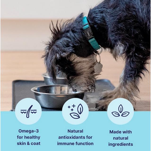 Tails.com Inner Vitality Advanced Nutrition for Adult Wet Dog Food Chicken 150g - gallery image 3