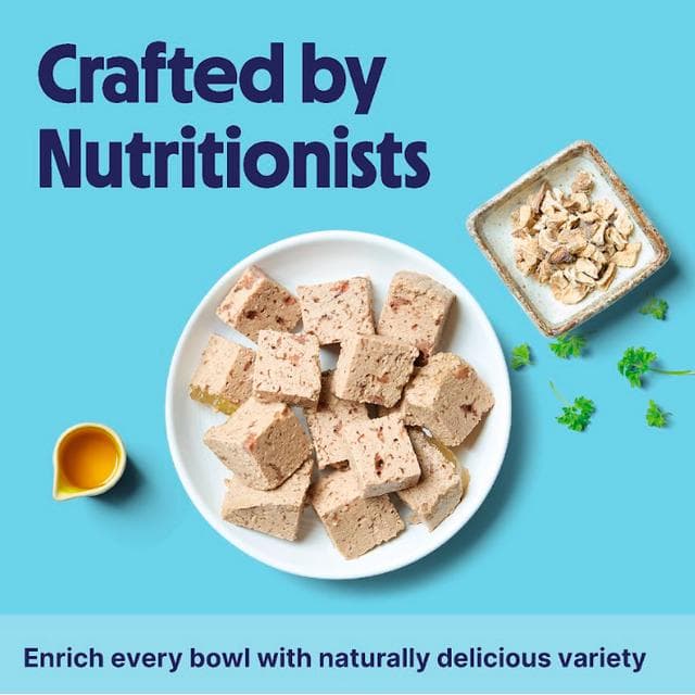 Tails.com Inner Vitality Advanced Nutrition for Adult Wet Dog Food Chicken 150g - gallery image 4