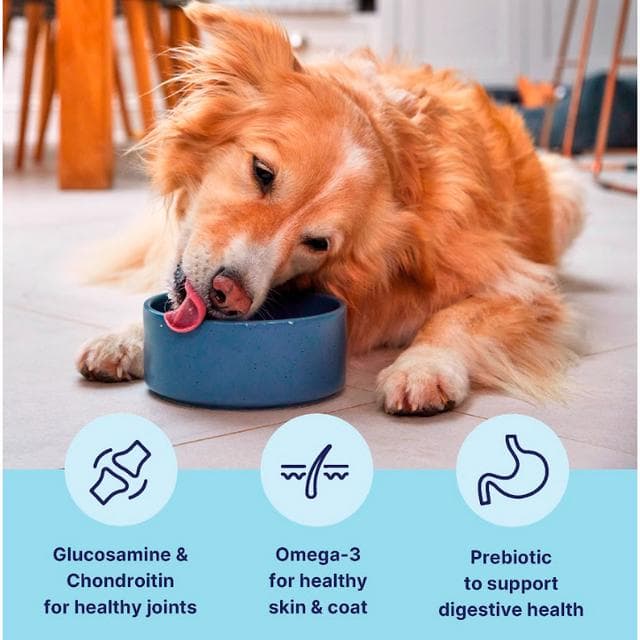 Tails.com Inner Vitality Advanced Nutrition Dry Dog Food Medium & Large Chicken 2kg - gallery image 2