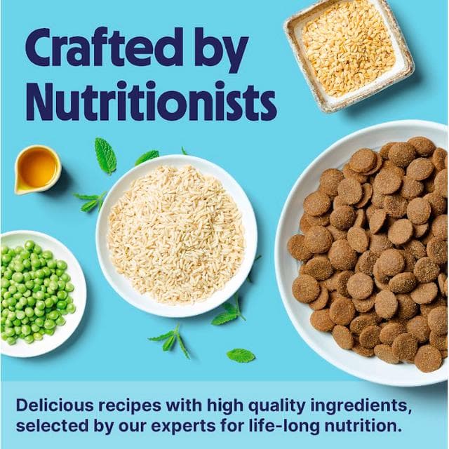Tails.com Inner Vitality Advanced Nutrition Dry Dog Food Medium & Large Chicken 2kg - gallery image 4
