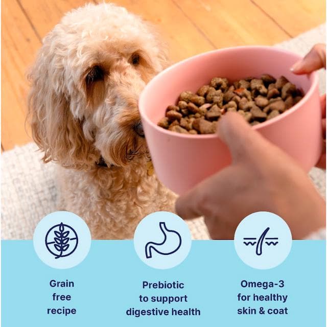 Tails.com Inner Vitality Advanced Nutrition Dry Dog Food Sensitive Salmon 2kg - gallery image 2