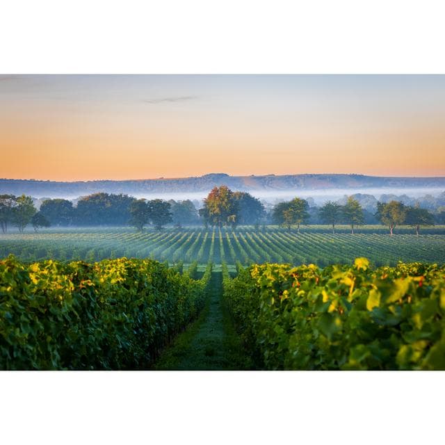 Nyetimber Classic Cuvee White Wine 75cl - gallery image 3