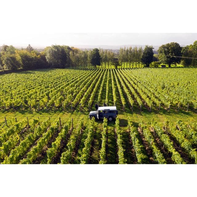 Nyetimber Classic Cuvee White Wine 75cl - gallery image 4