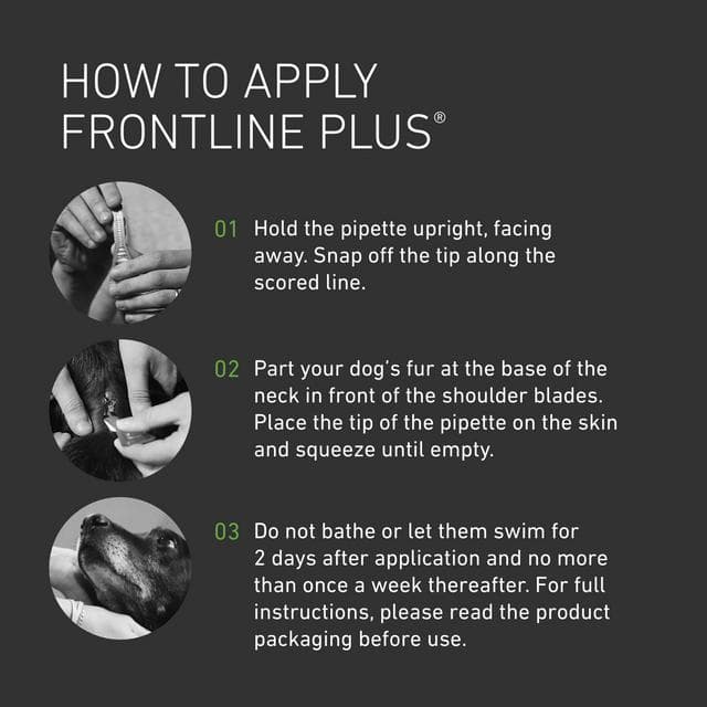 Frontline Plus Flea & Tick Treatment Small Dog 2 up to 10kg x1 - gallery image 3