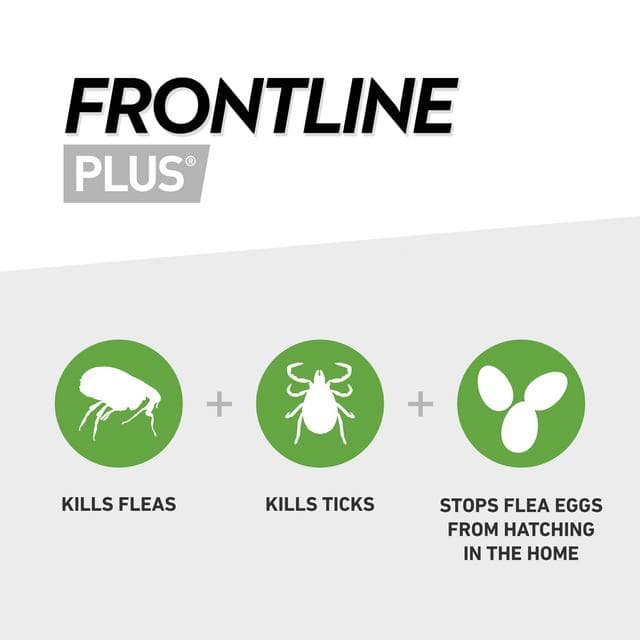 Frontline Plus Spot On Dog L 20 up to 40kg - gallery image 2