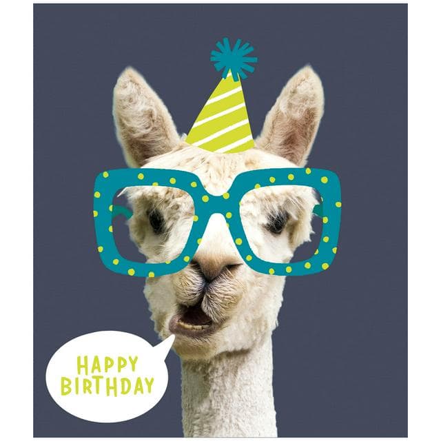 Sainsbury's Alpaca In Party Hat - gallery image 1