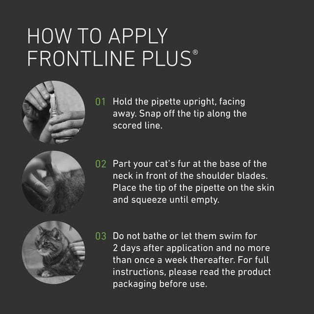 Frontline Plus Cat Flea & Tick Treatment x1 - gallery image 3