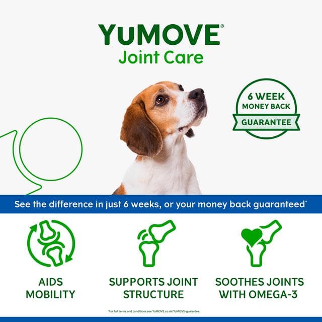 Yumove Joint Care Daily Bites for Senior Dogs Tasty Bites x60 150g - gallery image 2