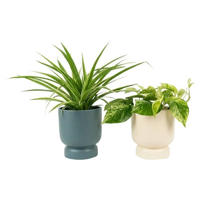 The Floral Collection Foliage with Stand - gallery image 1